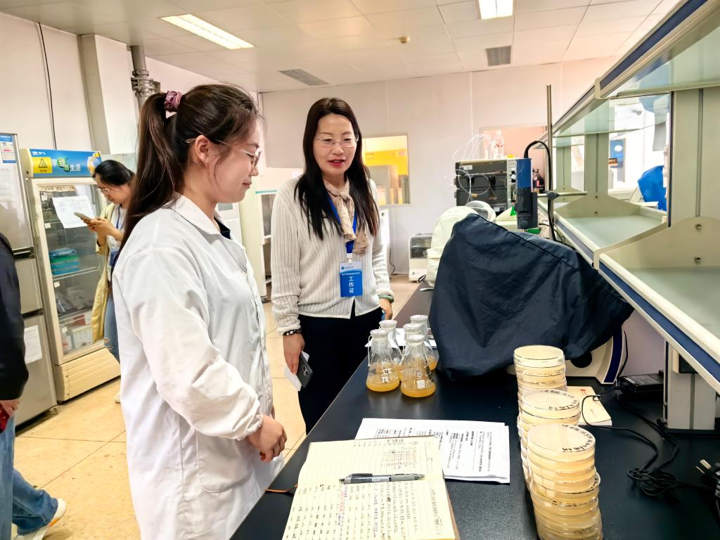 学位授予学科